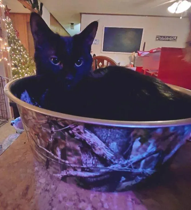  for Sullivan Sanctuary of Maine in Brunswick, ME