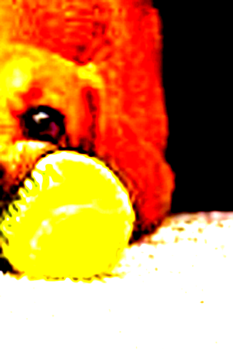  for Strange Soles in Somerville, MA