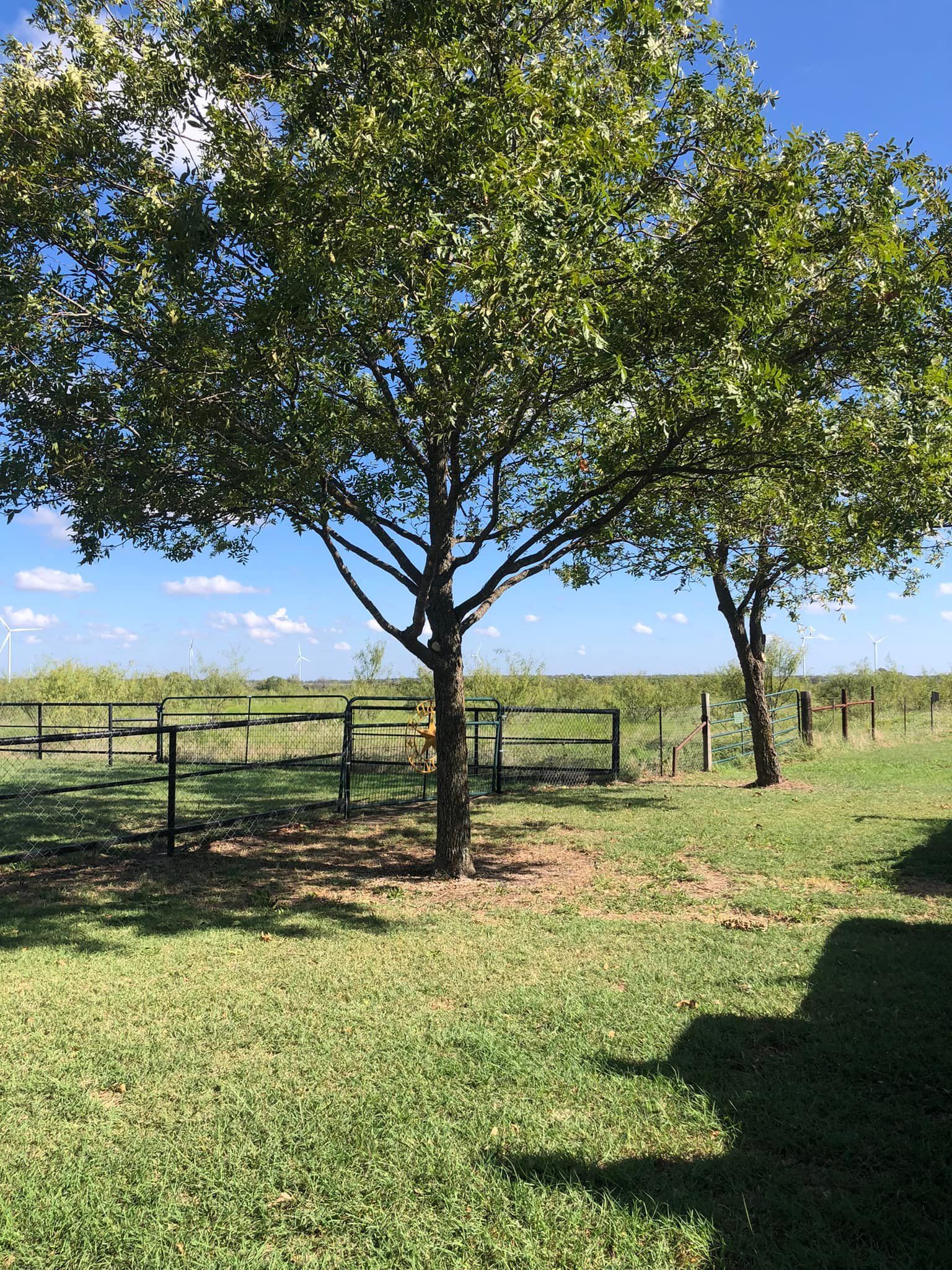  for Piña’s Lawncare in Waco, TX