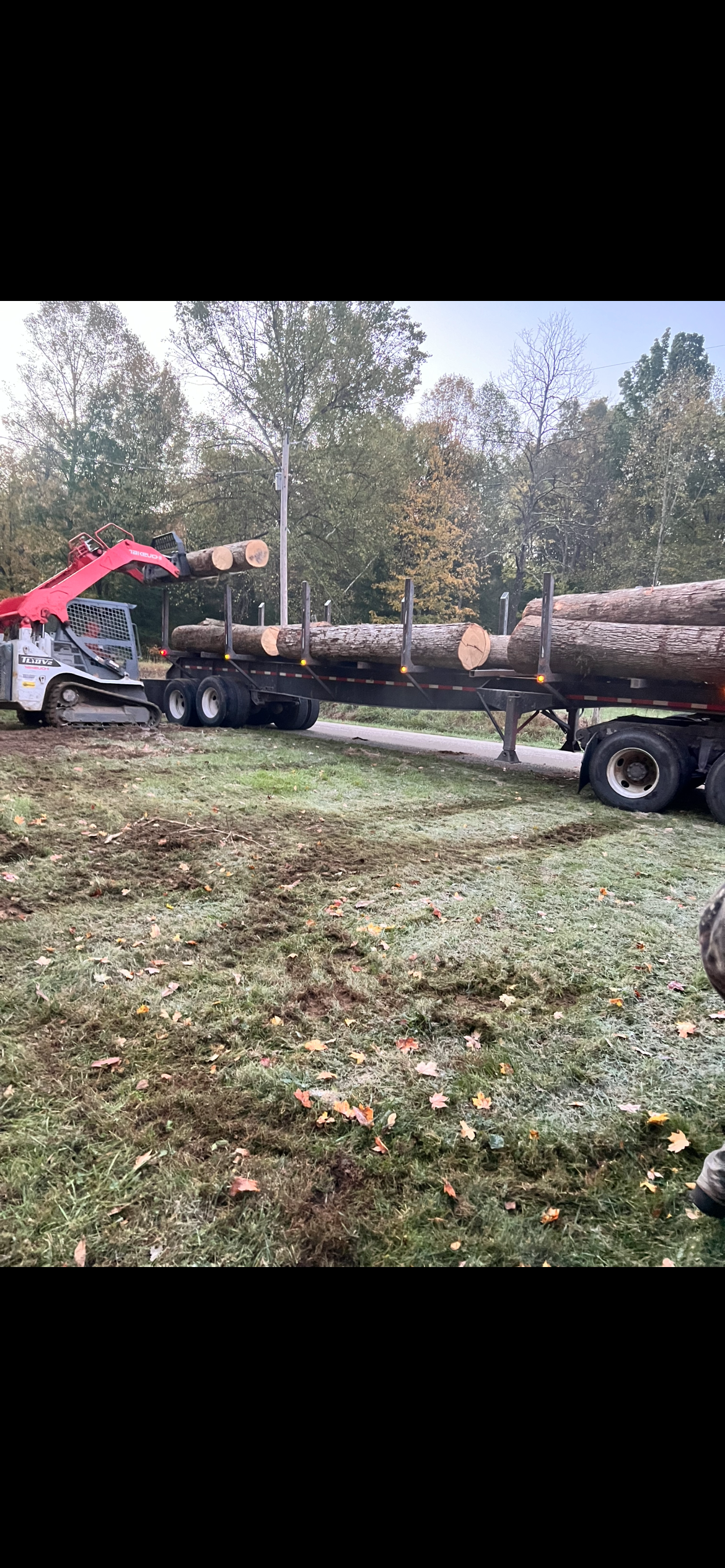 All Photos for Kadin’s Tree Service in North Vernon, IN