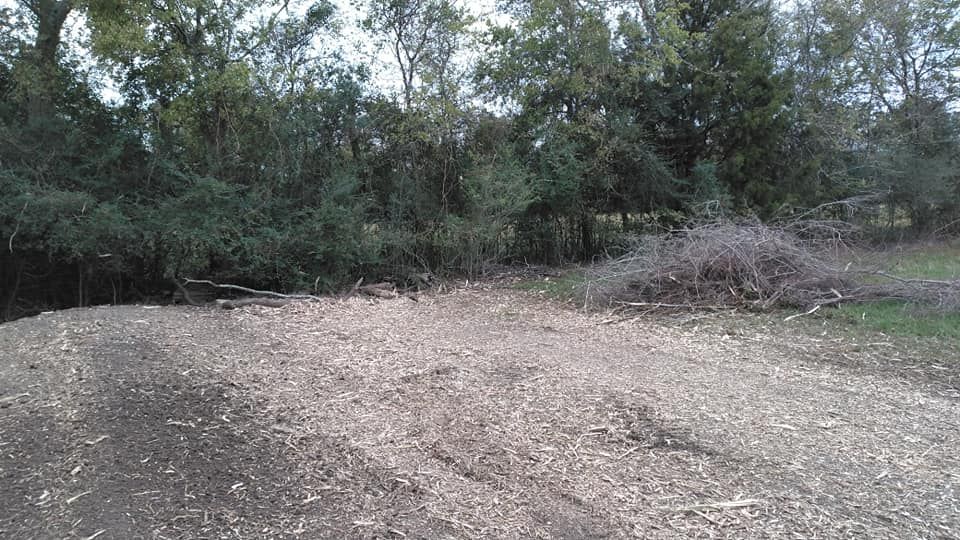 All Photos for Big Thicket Land Clearing in Kountze, TX