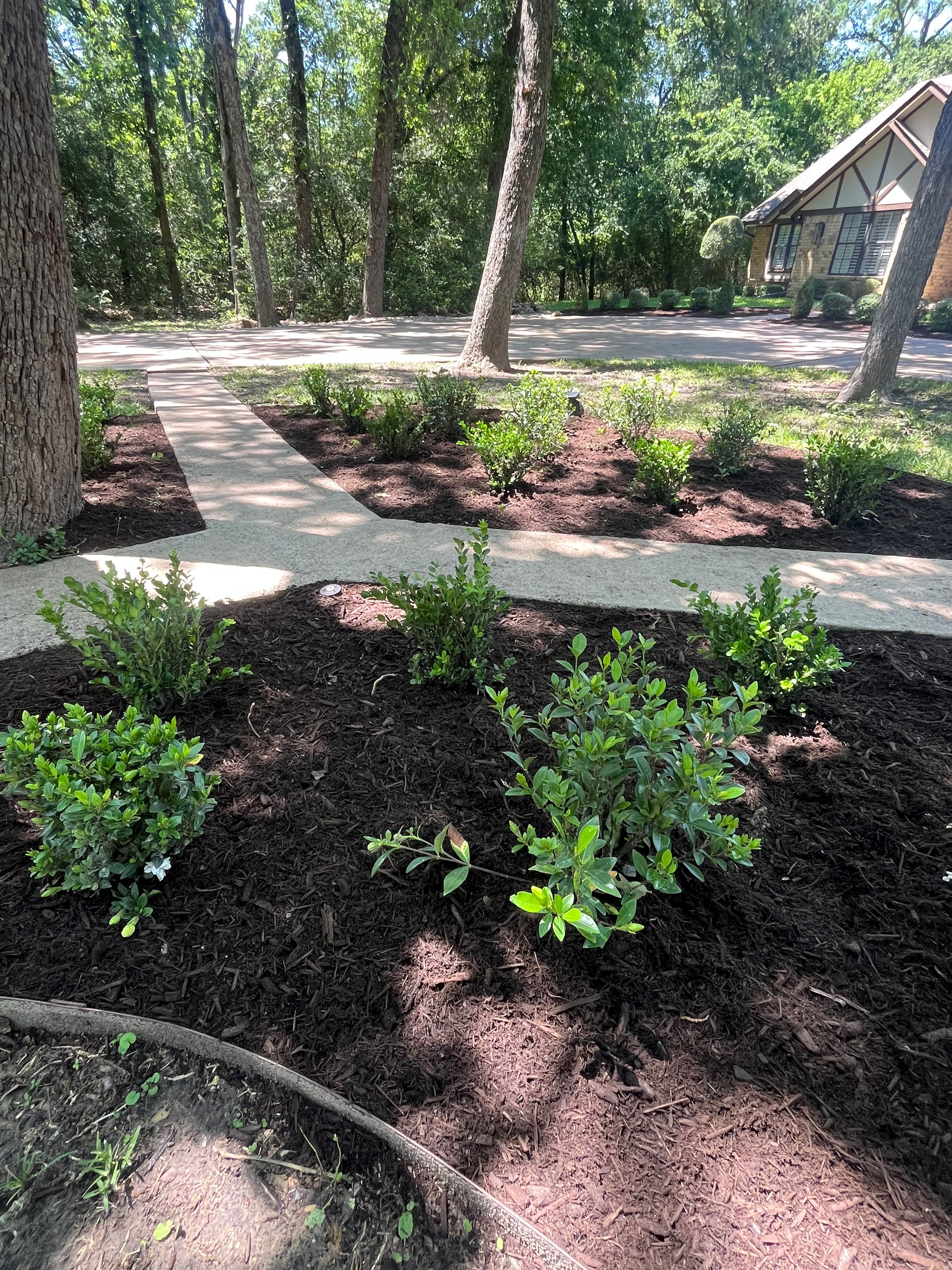  for Piña’s Lawncare in Limestone County, TX
