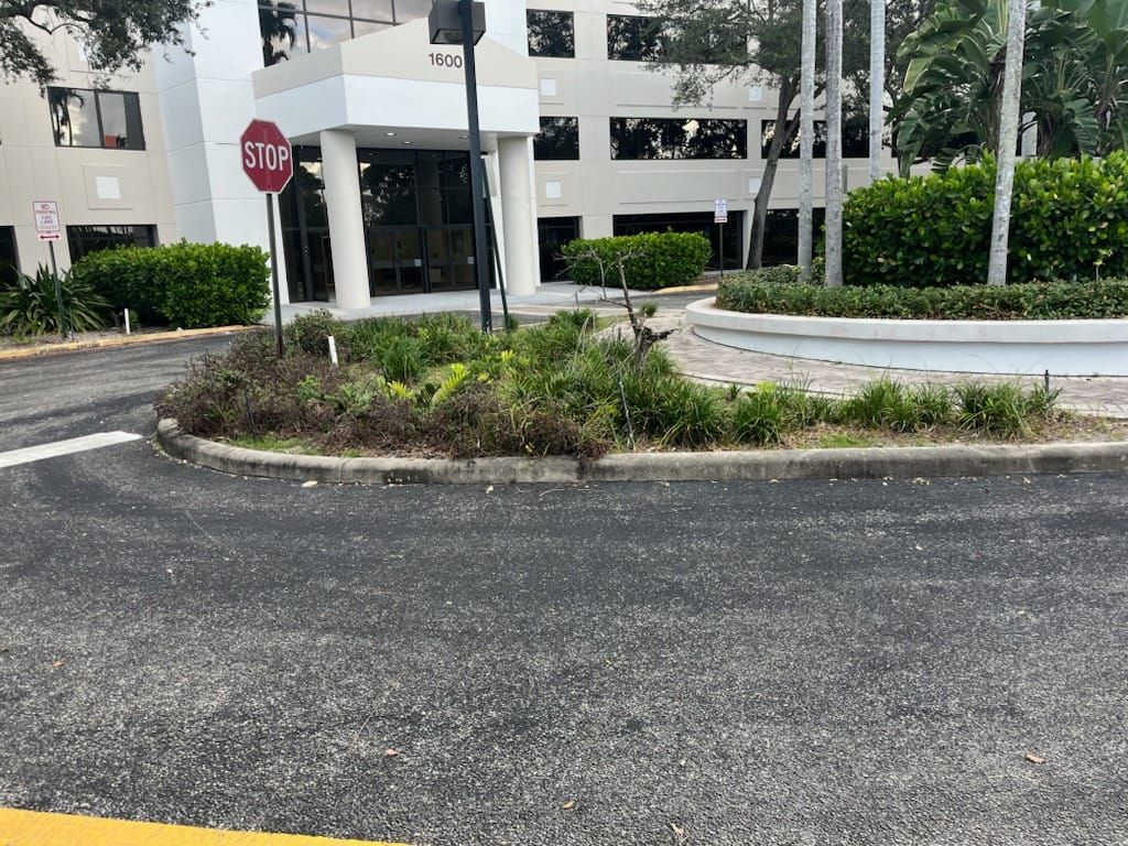  for Bridgewater Arbor Care LLC in Jupiter, FL