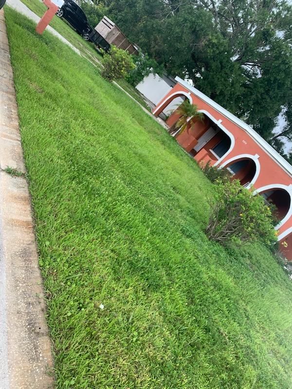  for Mitchell Lawn Service in Odessa, FL