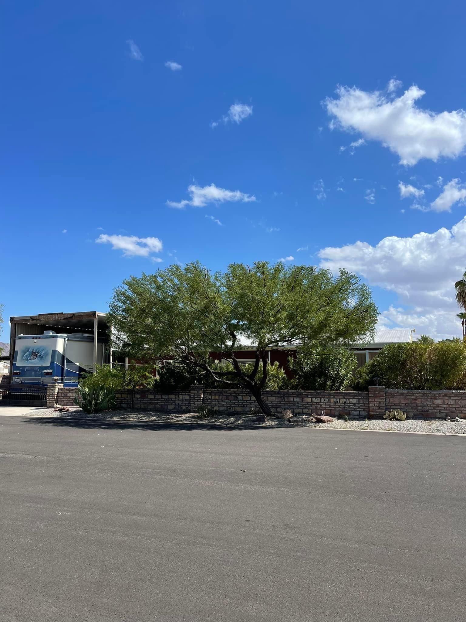  for Oliver L. Palm & Tree services in Yuma County, AZ