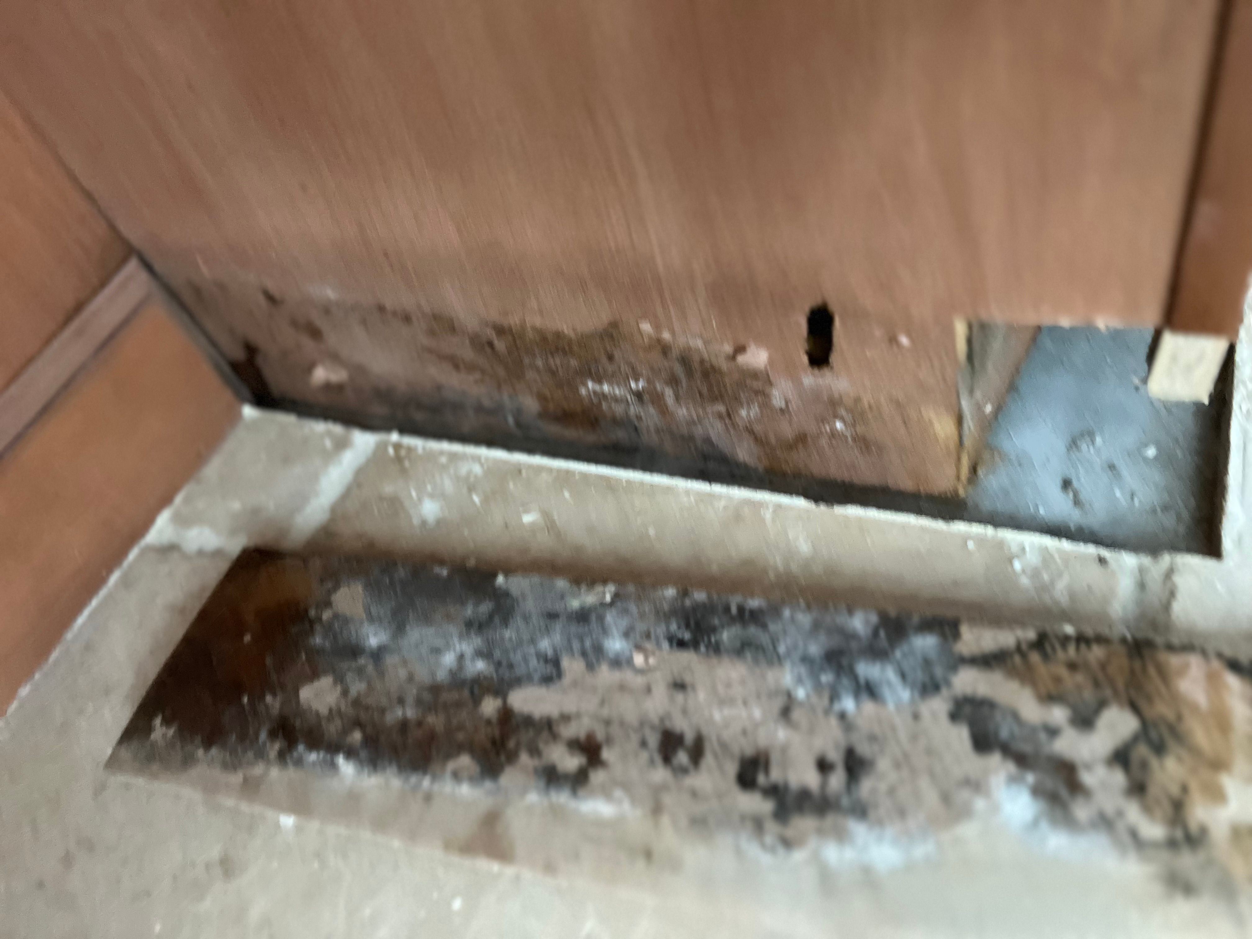  for N&D Restoration Services When Disaster Strikes, We Come In in Cape Coral,  FL