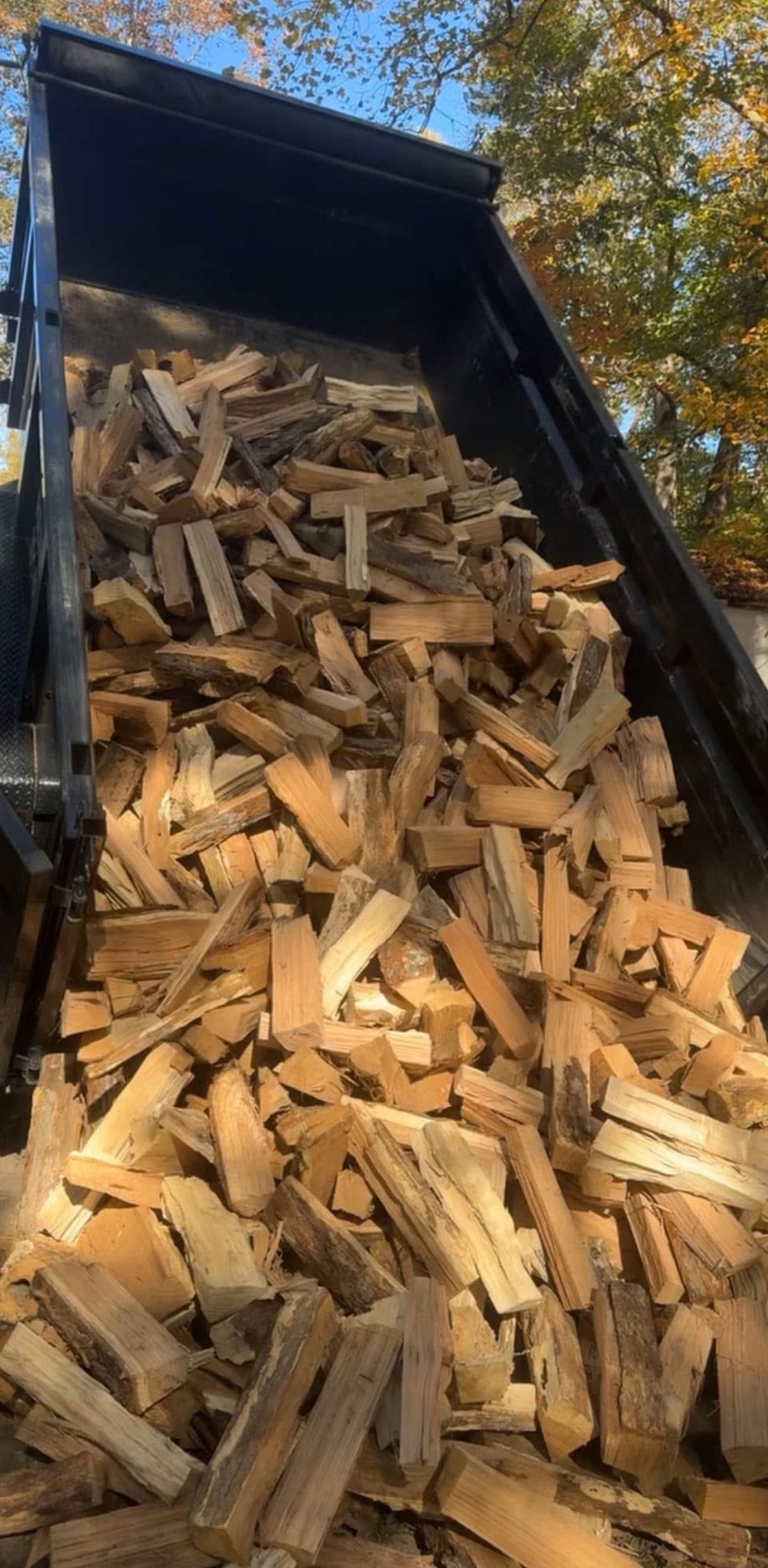  for Branch Out Tree Care LLC in Fredericksburg, VA