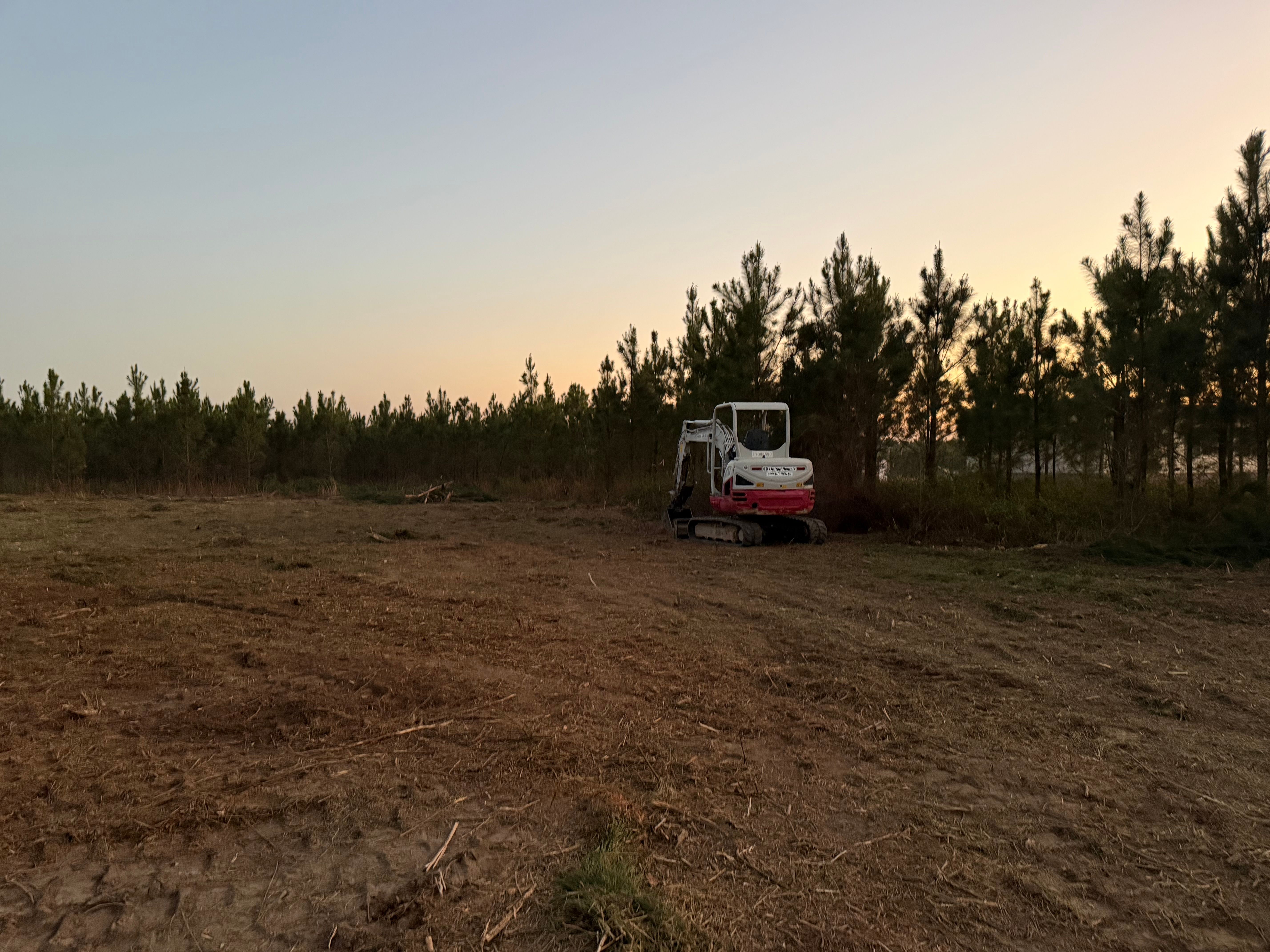  for T N L - Tree and Land Service in Reynolds, GA