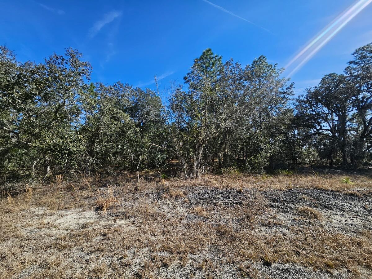  for J & E Land Clearing, LLC. in Dunnellon, FL