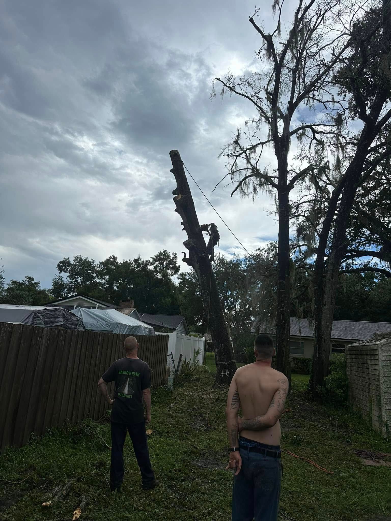  for Narrow Path Tree Service in Deland, FL
