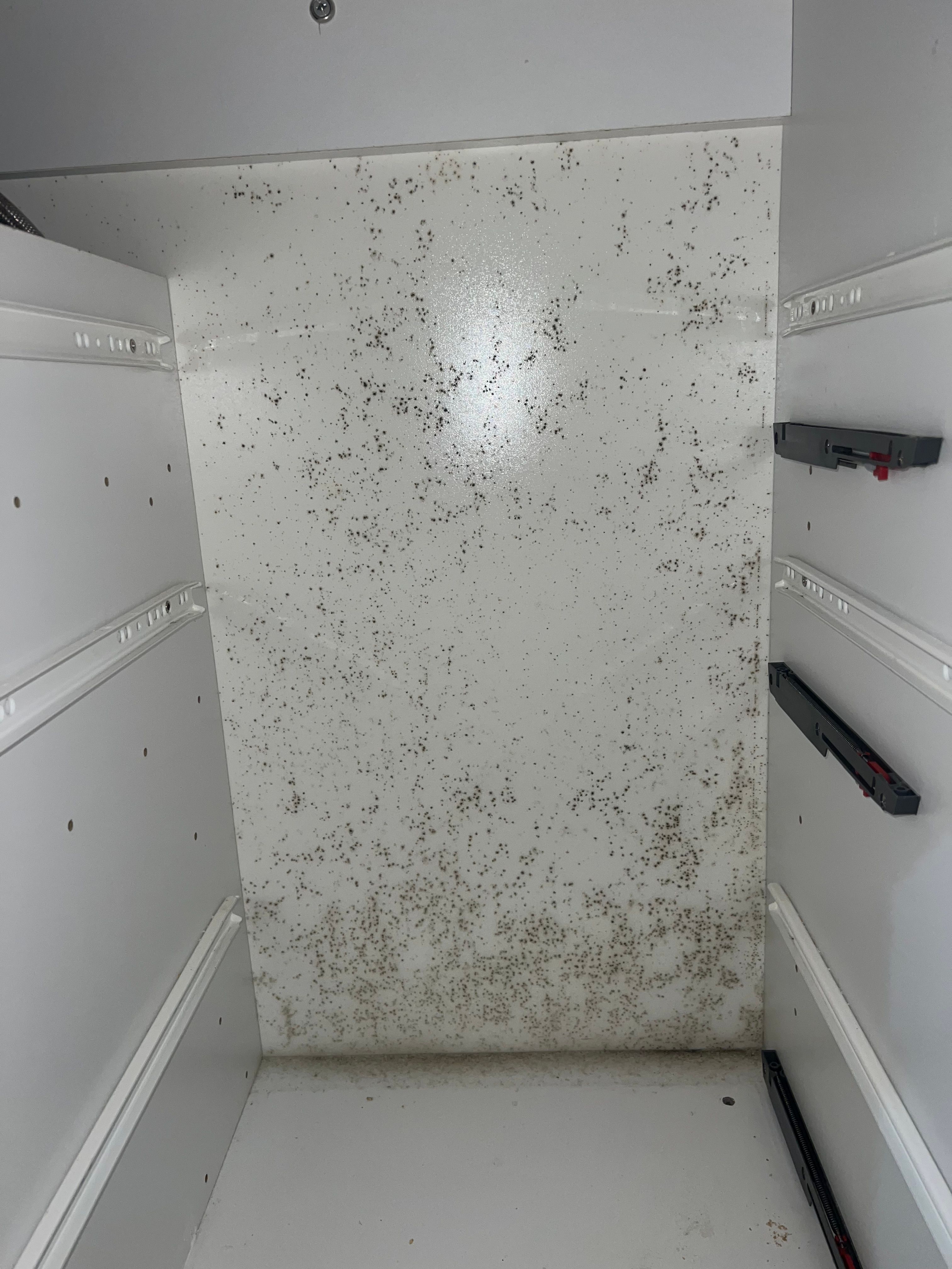  for N&D Restoration Services When Disaster Strikes, We Come In in Cape Coral,  FL