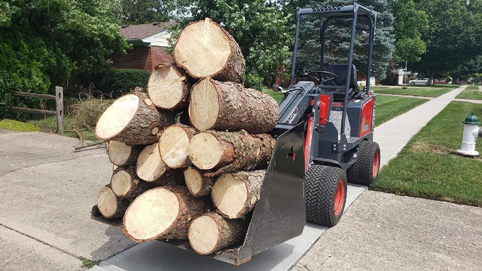 Tree Removal for Equality Contracting And Tree in Kountze, TX