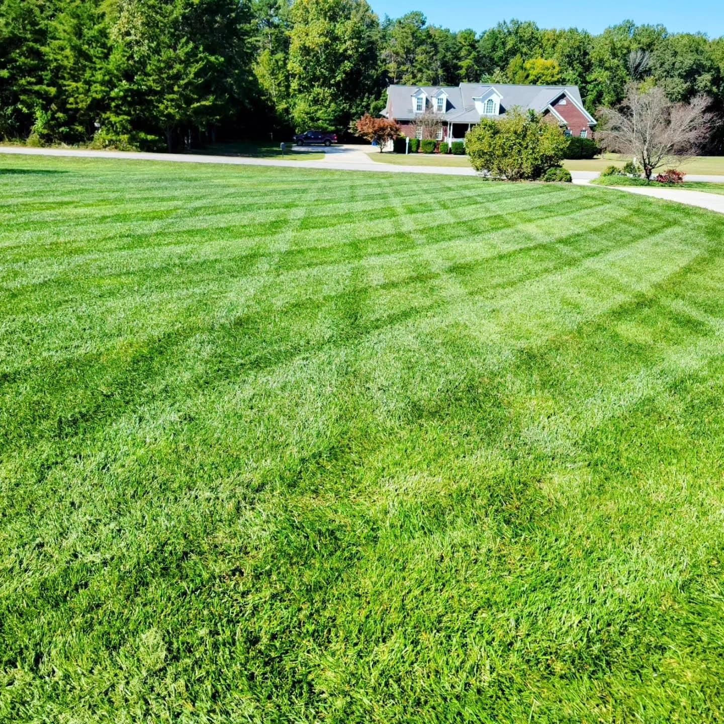  for Piedmont Lawn and Landscaping in Lexington, NC