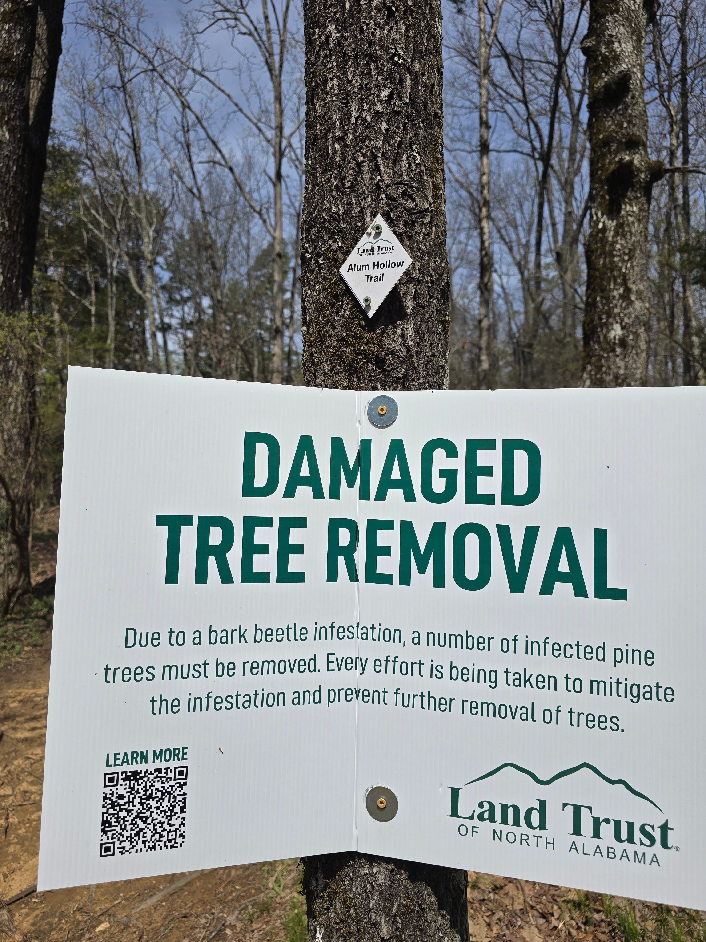  for D Hale Tree Service in Dexter, MI