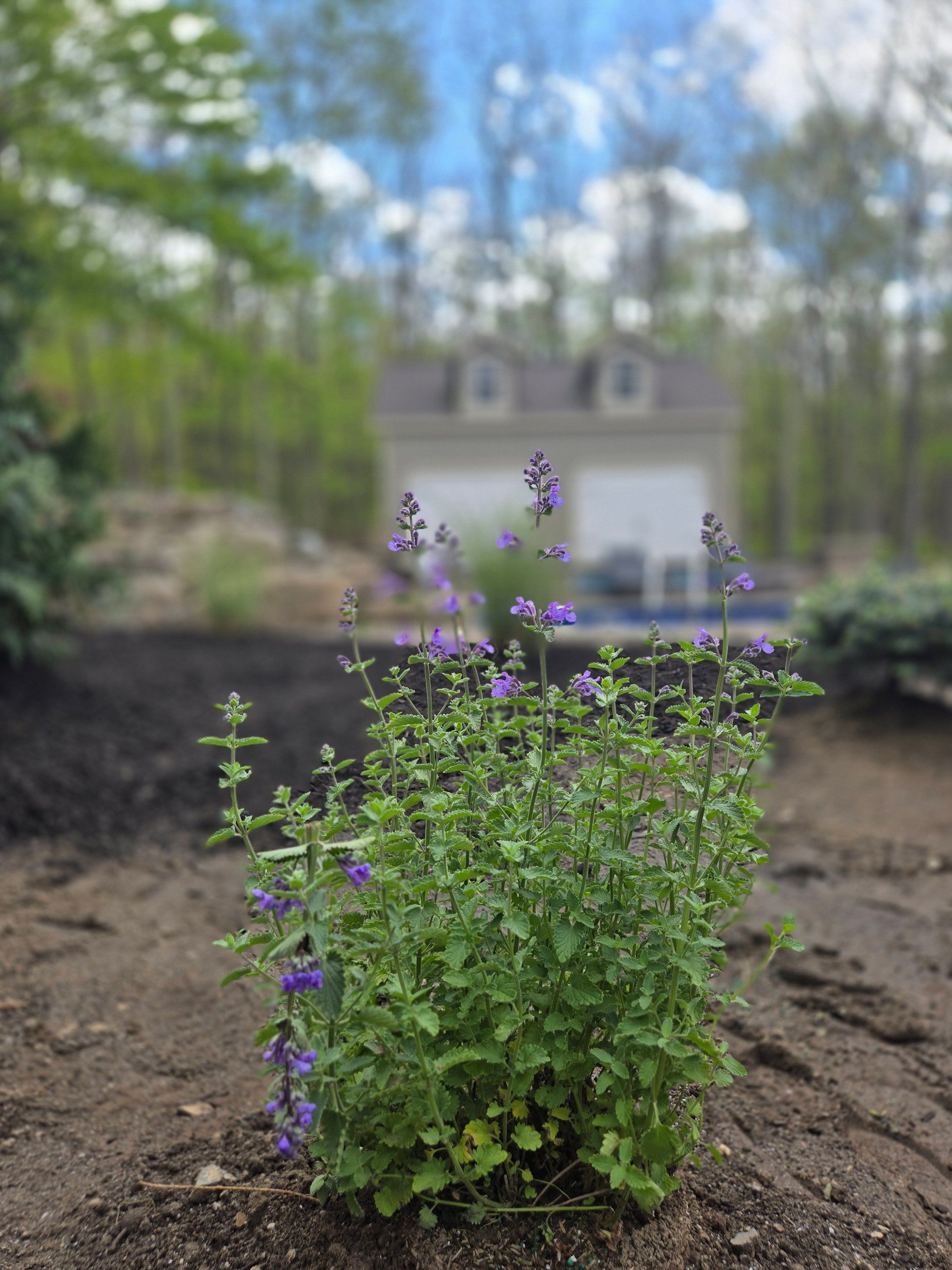  for Tony Monaco Landscaping Inc. in Orange County, NY