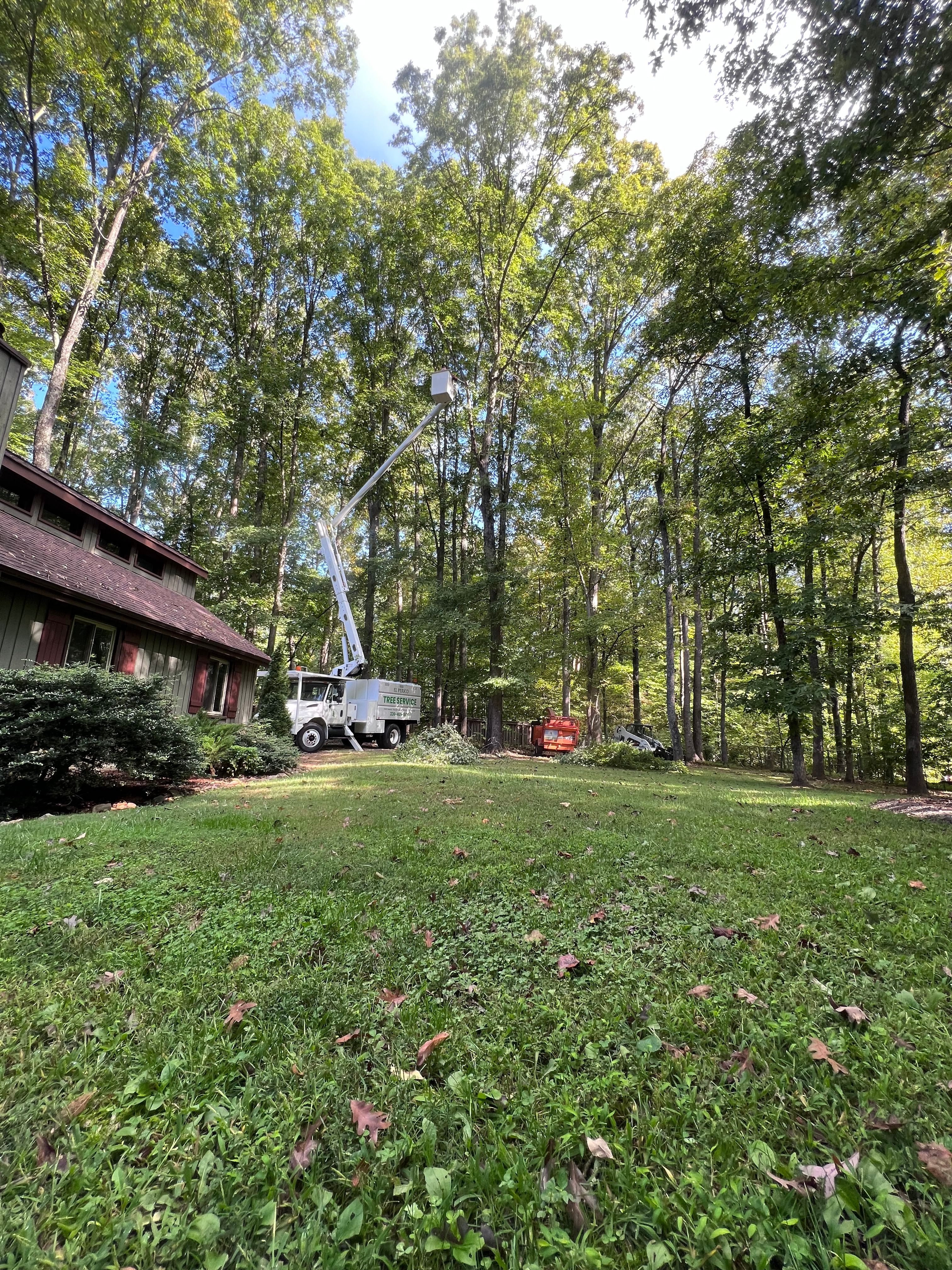  for El Perico Tree Service and Lawn Care, LLC in Boonville, North Carolina