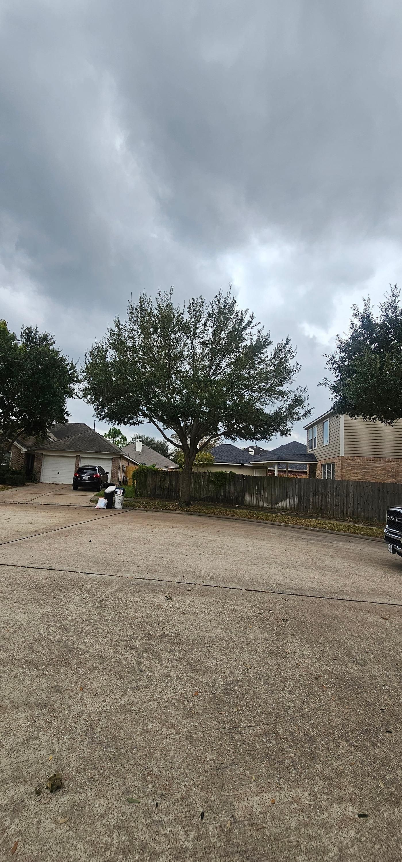  for Servin's Tree Care  in Houston, TX