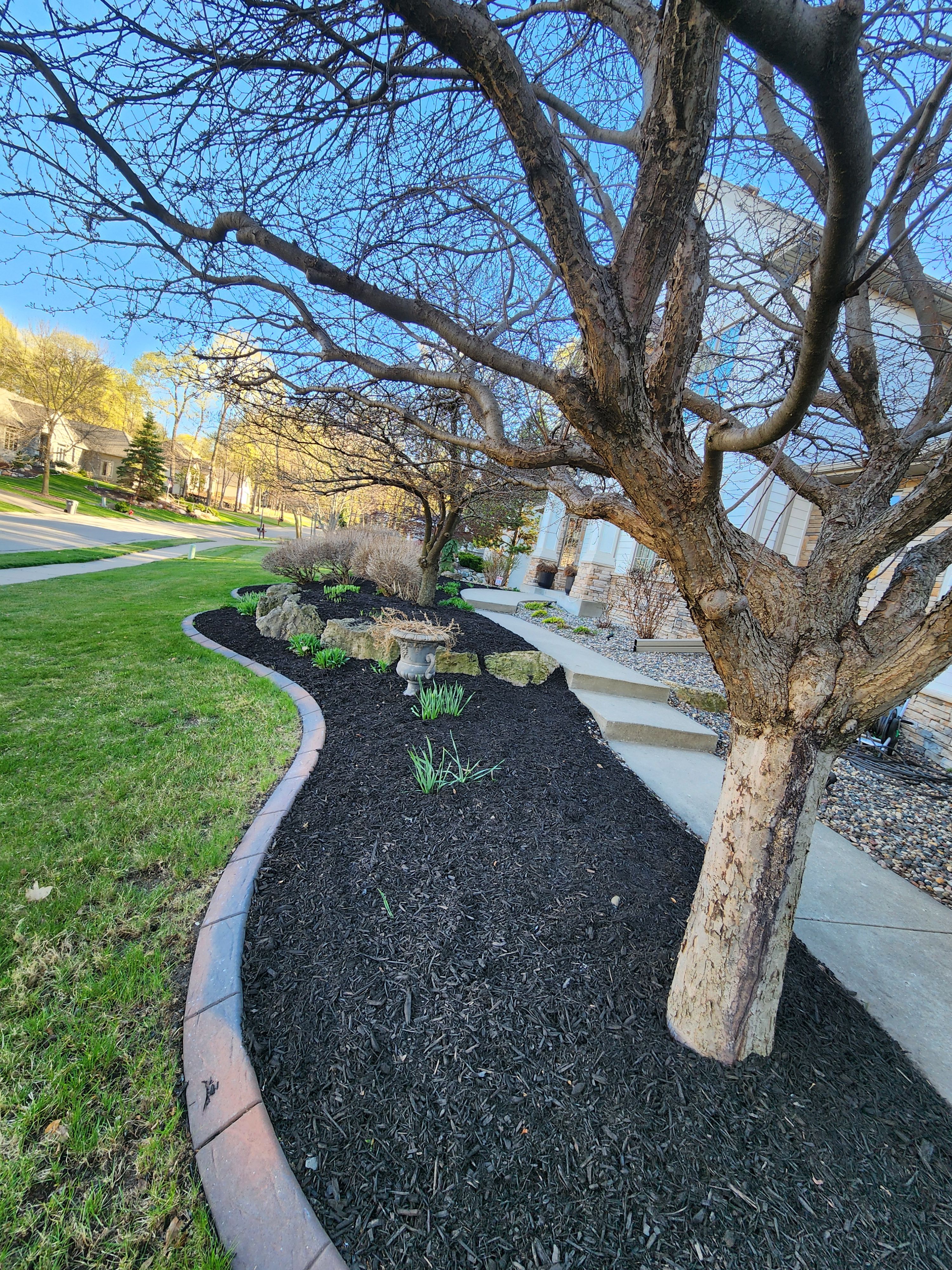  for K & I Lawn Care Service  in Eden Prarie, MN