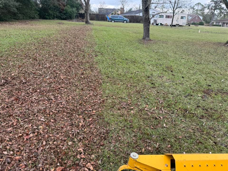  for Sierra Verde Landscaping in Vidalia, GA