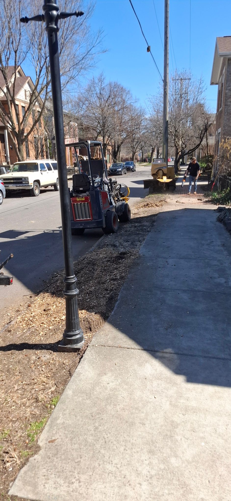 All Photos for Pro Tree Trim & Removal, Llc in Dayton, OH