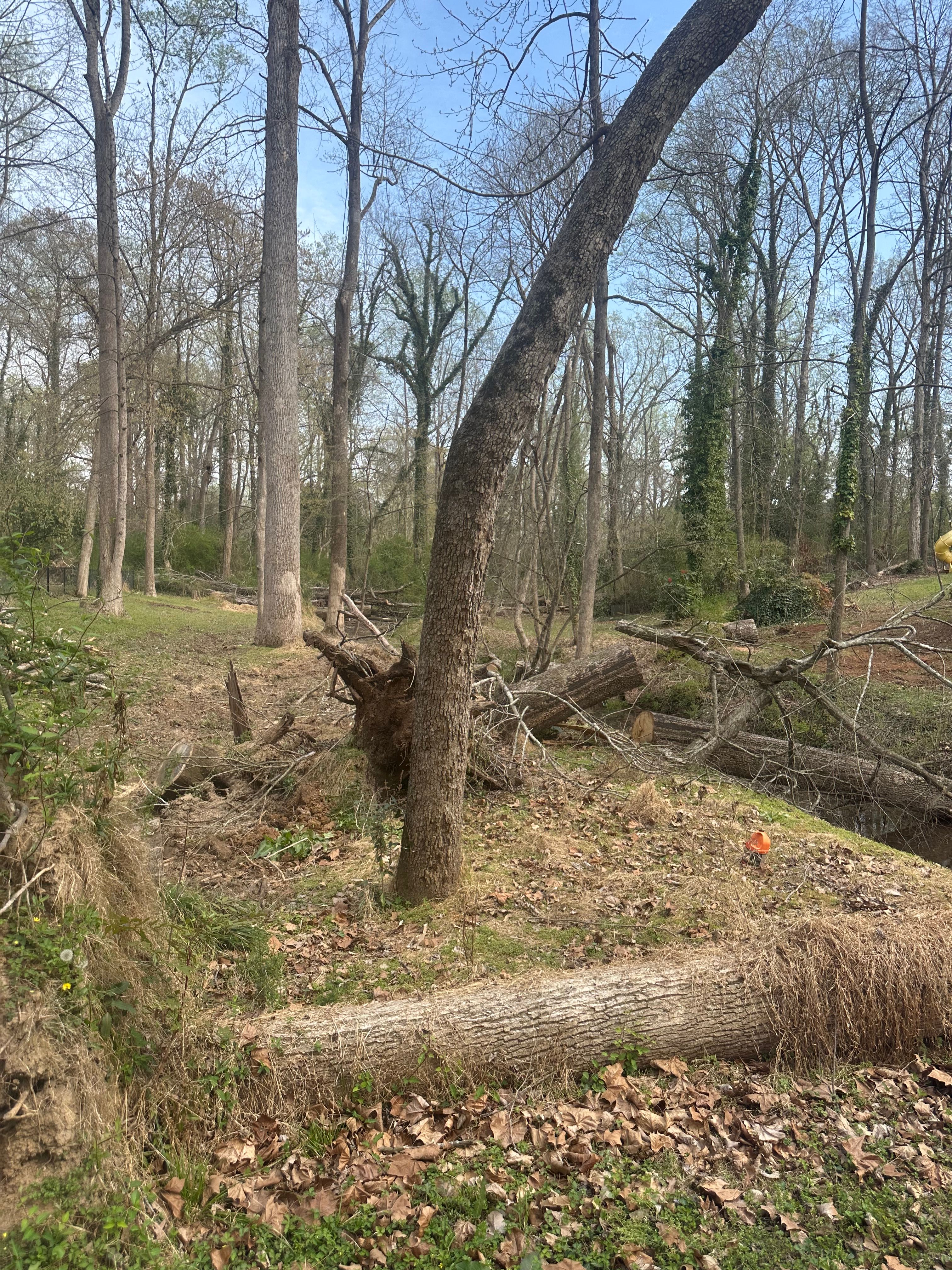  for Toney Site Services LLC in Rutherford County, NC