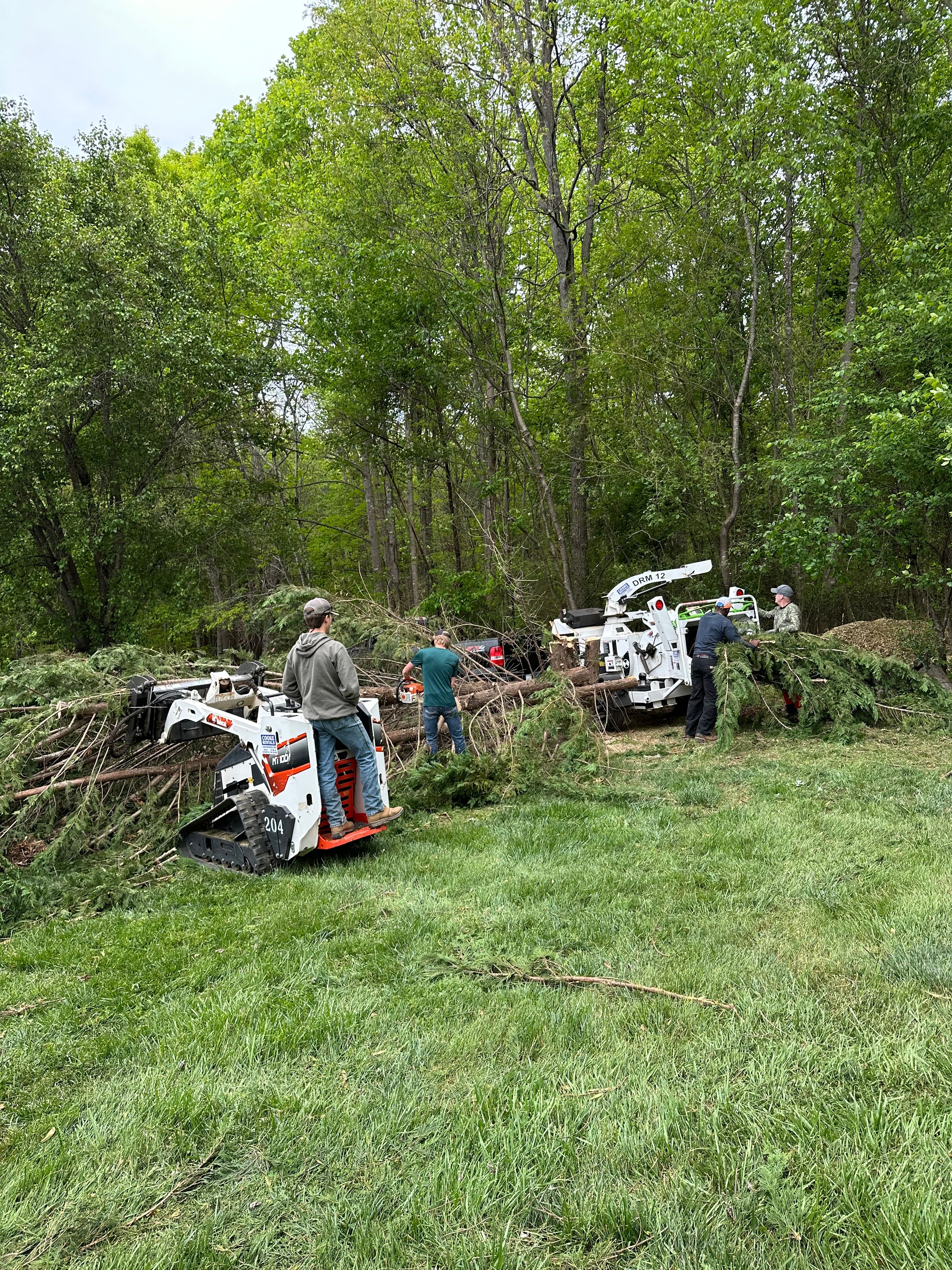 All Photos for Ramirez Tree Care in Elkin, NC