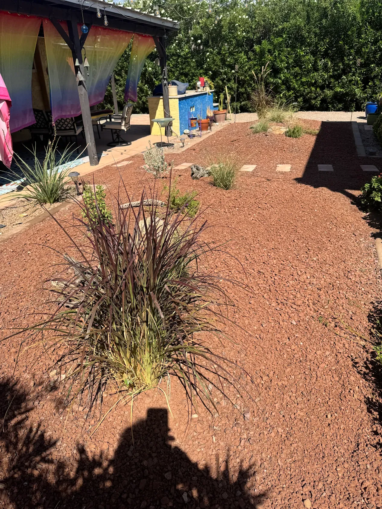 All Photos for Citiscapes, LLC in Phoenix, AZ