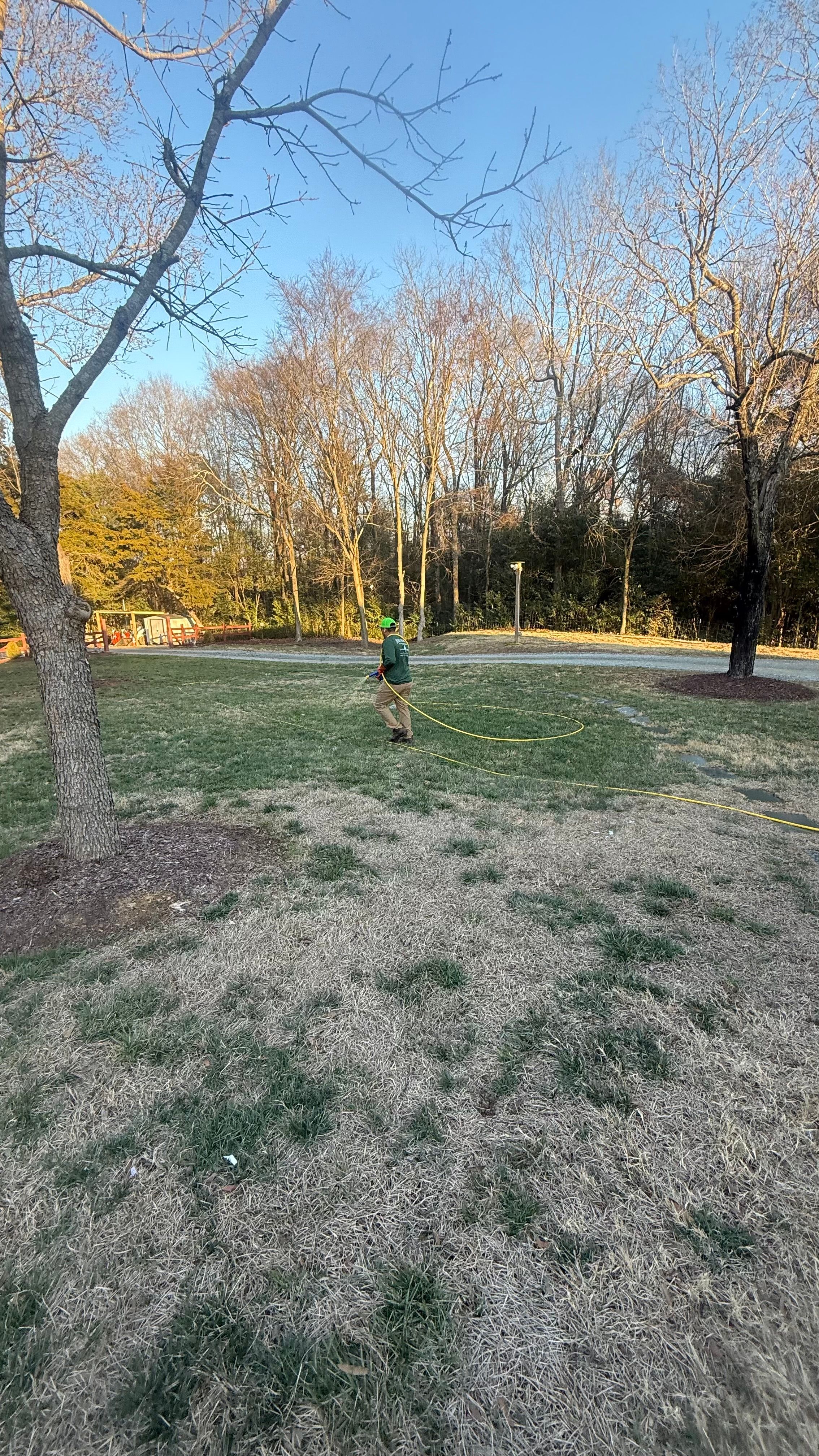  for Pecina Pine Needles in Monroe, NC