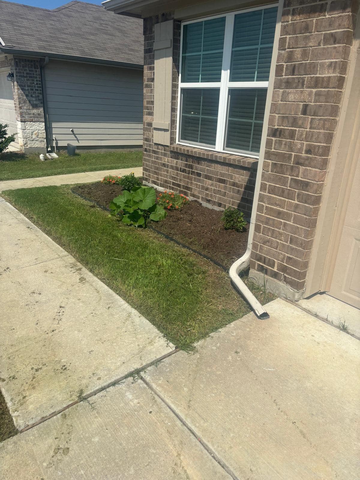  for Pina Landscaping in Austin, TX