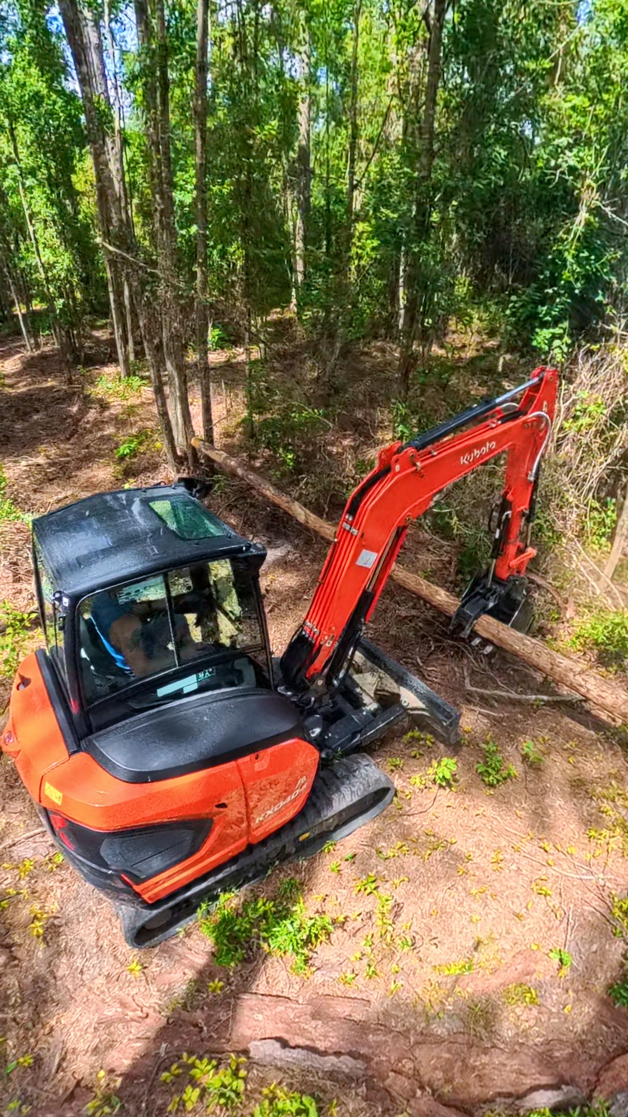  for Family Roots Landworks and Debris Removal in Newberry, FL