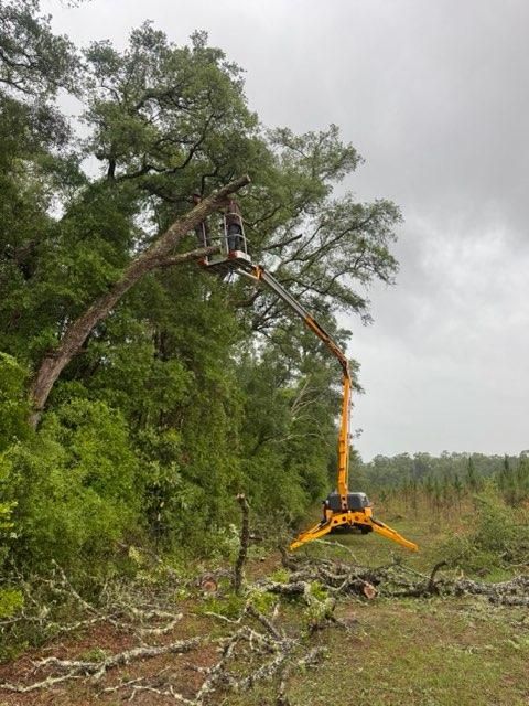  for All Seasons Tree and Land Works in Trenton, FL