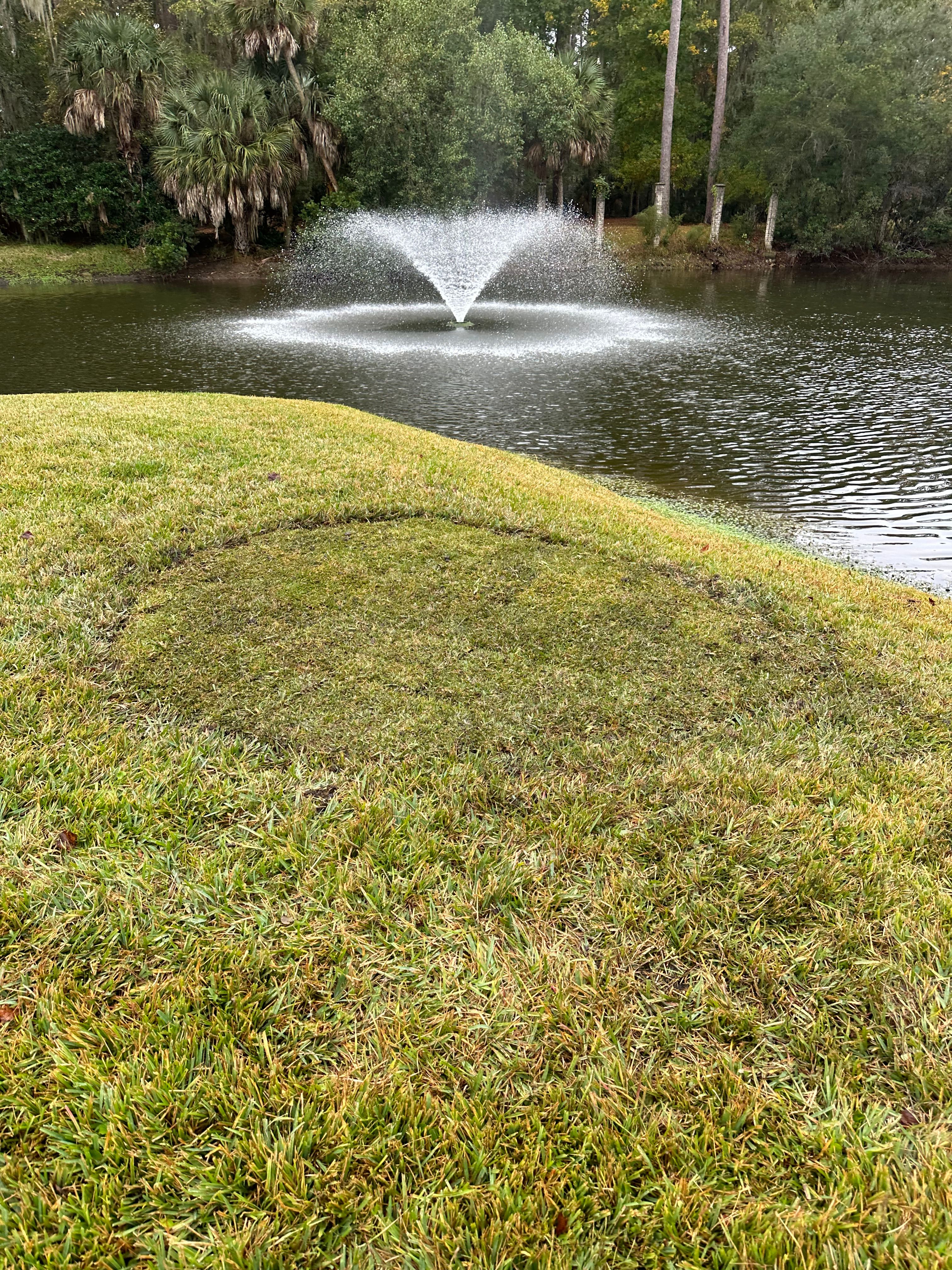  for Coastalscapes Landscaping & Turf Management  in Savannah, GA