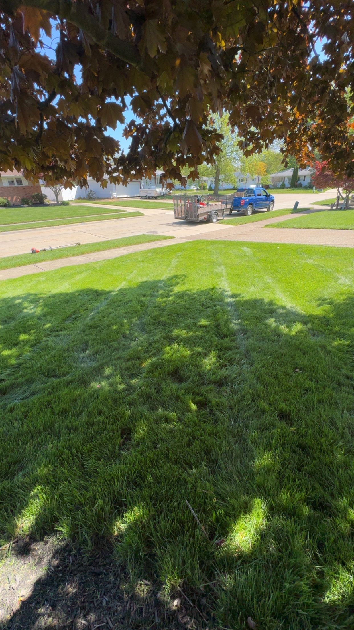  for Yard Theory in Willowick, OH