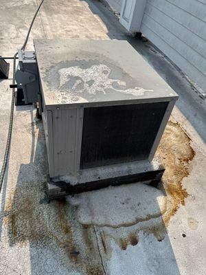 All Photos for Park Place Property Maintenance in Essex County, NJ