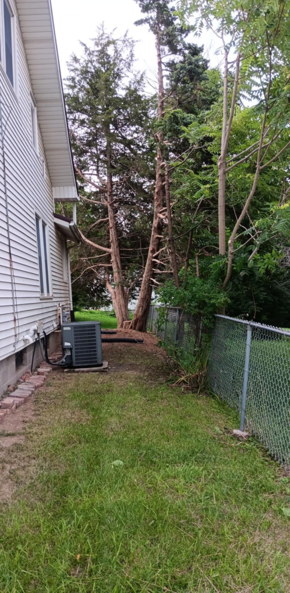  for Lawn Ranger Yard And Tree Service LLC in Ottumwa, IA