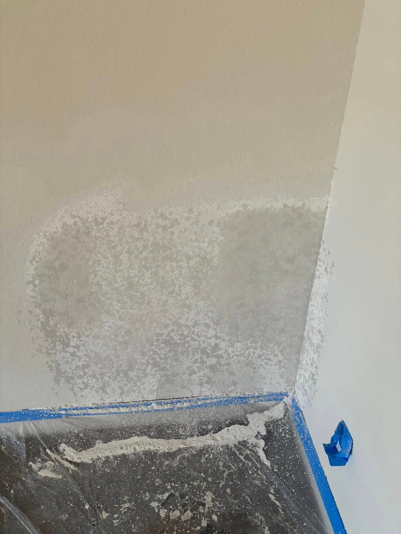  for Texas Steady Drywall and Paint in Austin, TX