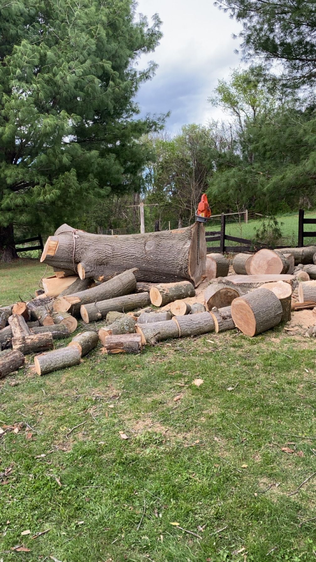 All Photos for Gray's Tree Service  in Shenandoah County, VA