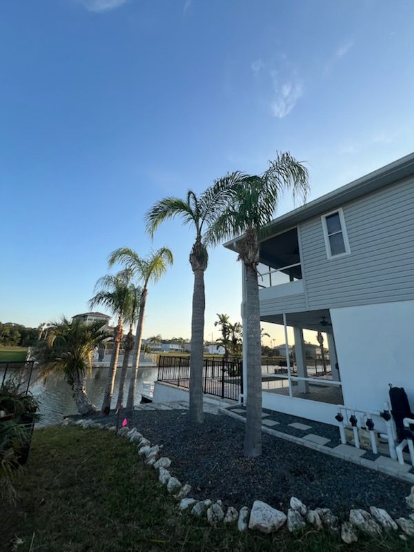 Landscaping for Perfect MOs Landscaping  in Hudson, FL