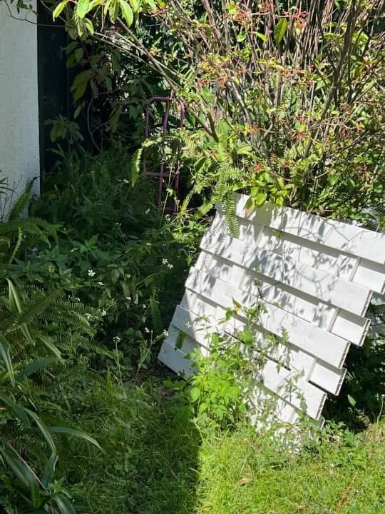  for Space Coast Property Maintenance and Management LLC in Melbourne, FL