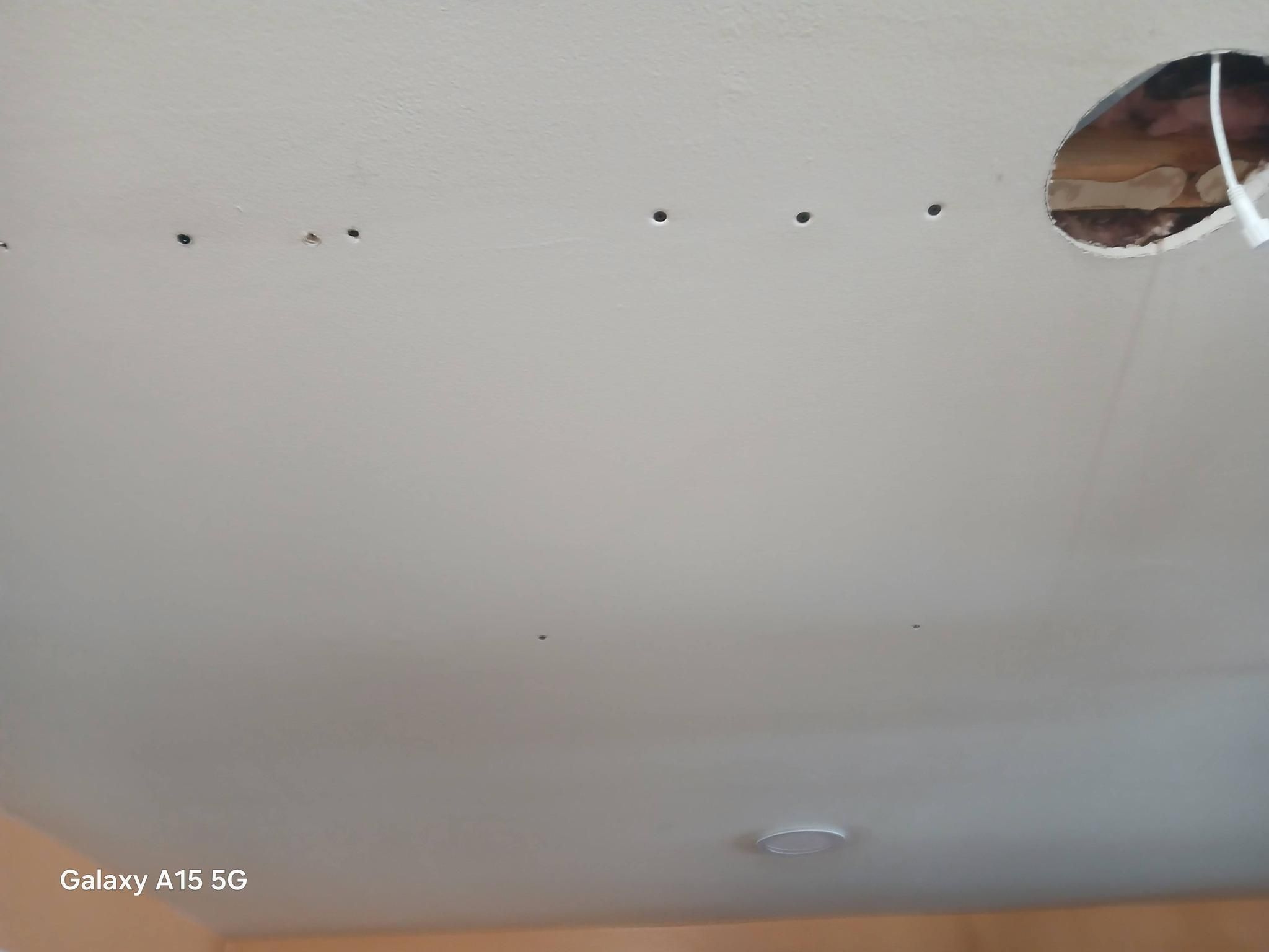  for Top Tier Drywall and Painting LLC in Rosenhayn, NJ