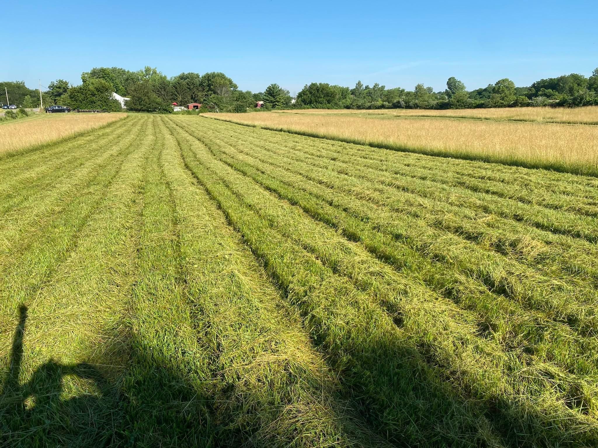 All Photos for A1 Bush Hogging & Lawn Service in Columbus, OH