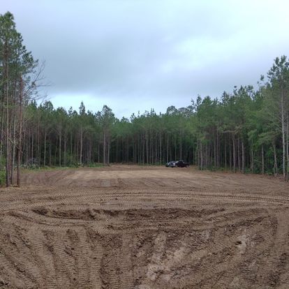 All Photos for Big Thicket Land Clearing in Kountze, TX