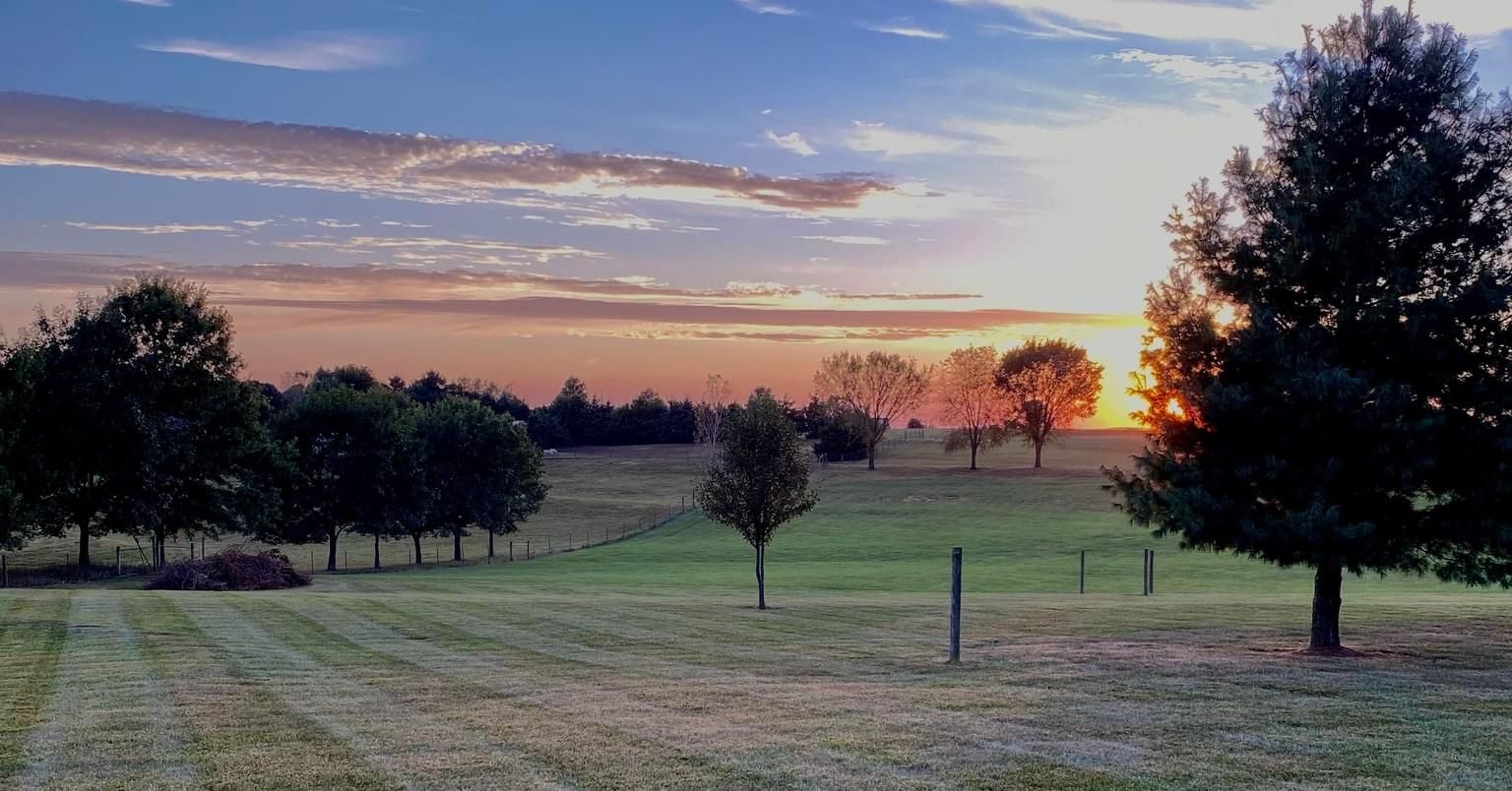  for Elite Lawn Care Solutions in Basehor, KS