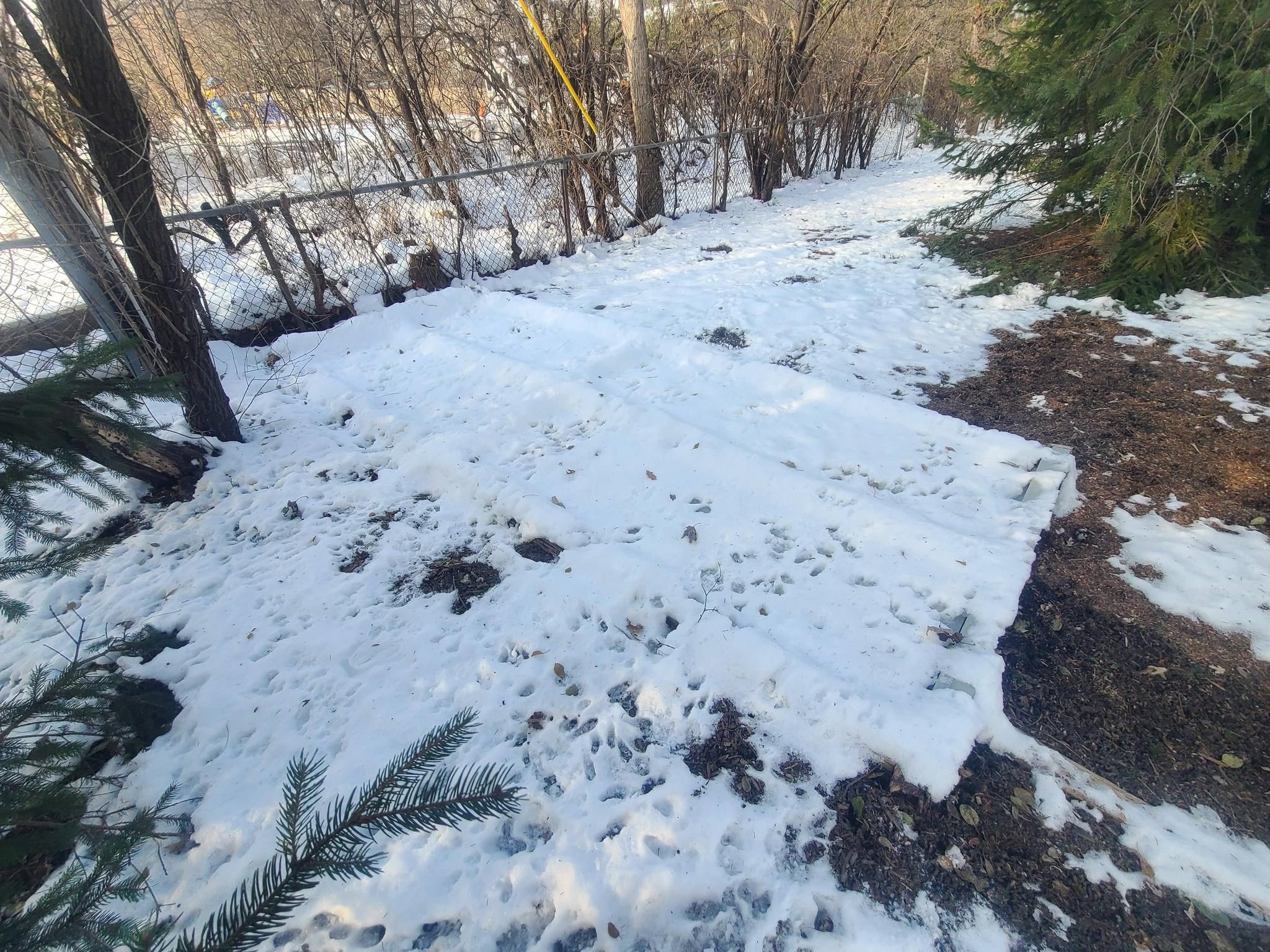 All Photos for Fence Medic in Arlington Heights, IL