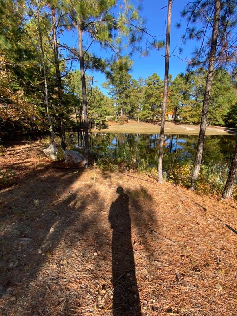  for Ascending Tree Service LLC in Kenbridge, VA