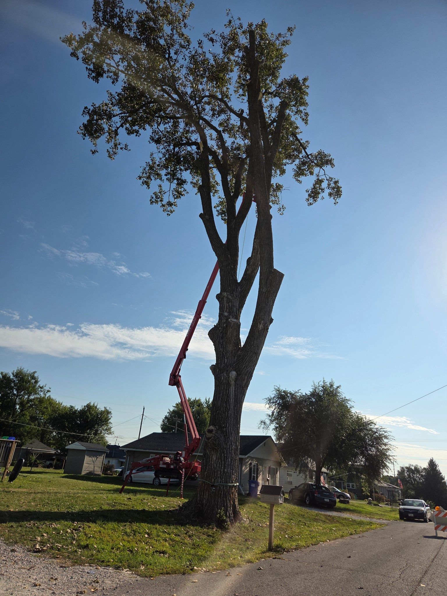  for Lawn Ranger Yard And Tree Service LLC in Ottumwa, IA