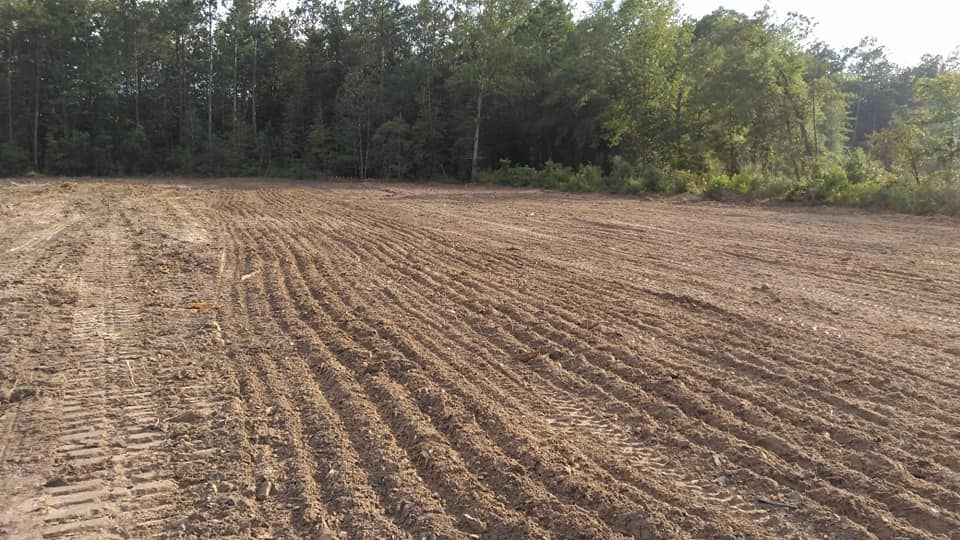 All Photos for Big Thicket Land Clearing in Kountze, TX