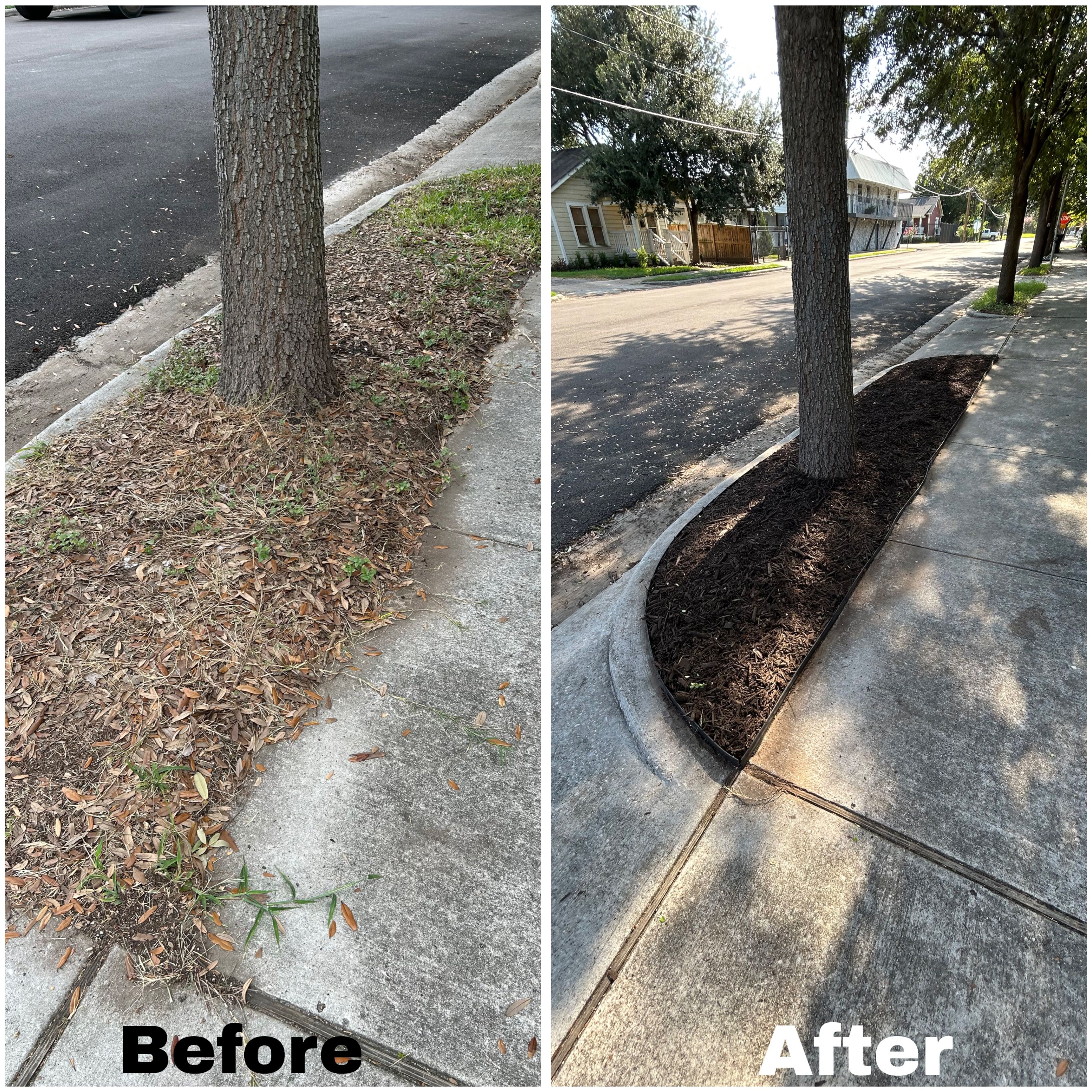  for Faith LEC Services LLC in Houston, TX