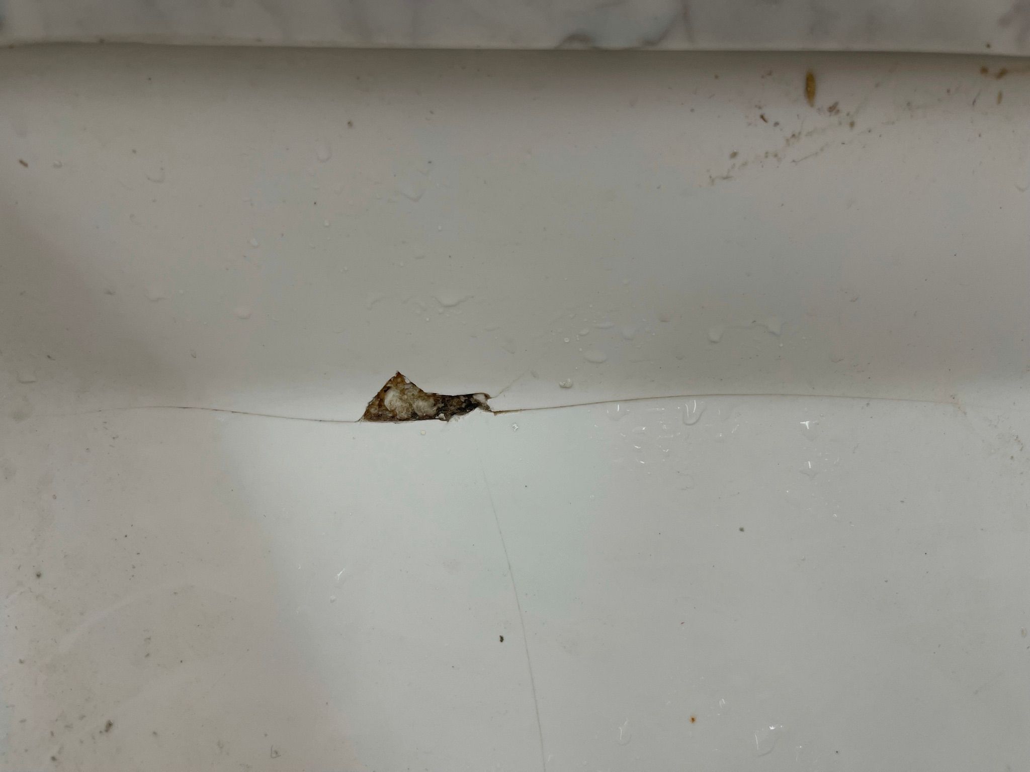  for Tony's Remodeling & Painting in Renton, WA