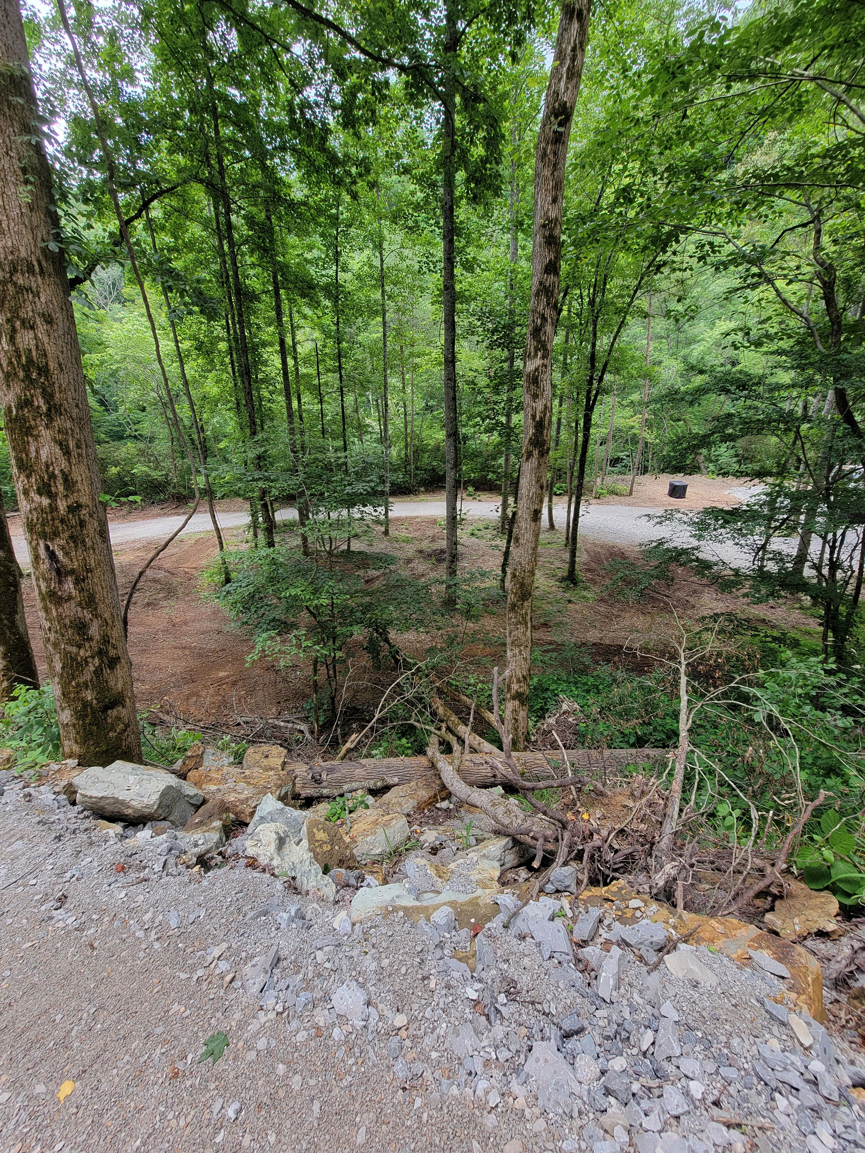  for Z's Land Management & Forestry Mulching in Smithville, TN